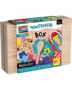 Montessori Work-Box - Lisciani 102594